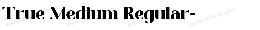 True Medium Regular字体转换
